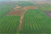 9 Quarters of Grain Land for Sale, Wilcox, Saskatchewan