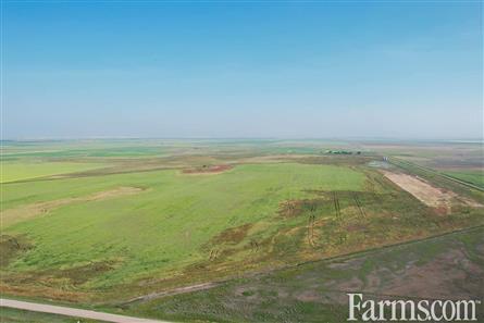 9 Quarters of Grain Land for Sale, Wilcox, Saskatchewan