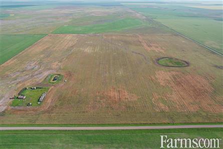 9 Quarters of Grain Land for Sale, Wilcox, Saskatchewan