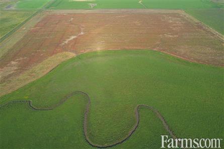 9 Quarters of Grain Land for Sale, Wilcox, Saskatchewan