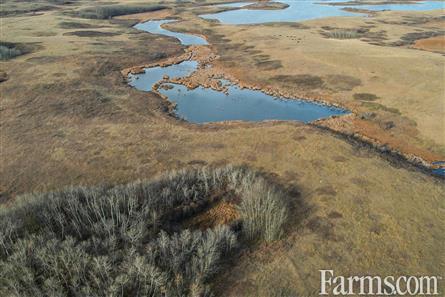 Half Section of Pasture in the RM of Perdue for Sale, Perdue, Saskatchewan