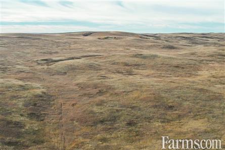 Half Section of Pasture in the RM of Perdue for Sale, Perdue, Saskatchewan