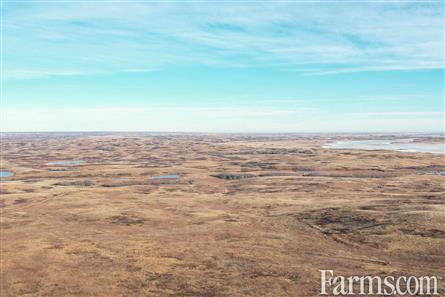 Half Section of Pasture in the RM of Perdue for Sale, Perdue, Saskatchewan