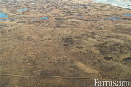 Half Section of Pasture in the RM of Perdue for Sale, Perdue, Saskatchewan