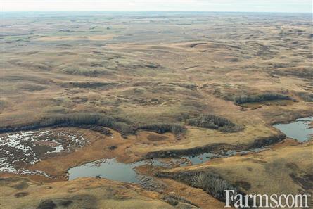 Half Section of Pasture in the RM of Perdue for Sale, Perdue, Saskatchewan