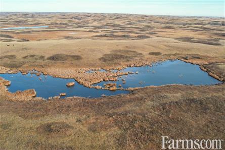 Half Section of Pasture in the RM of Perdue for Sale, Perdue, Saskatchewan