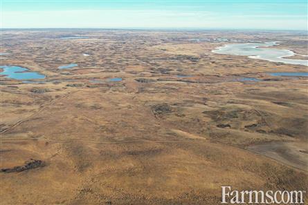 Half Section of Pasture in the RM of Perdue for Sale, Perdue, Saskatchewan