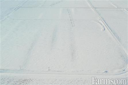 Irrigated Grain Quarter in the RM of Rudy #284 for Sale, Outlook, Saskatchewan