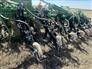 John Deere 2016 1870 Air Seeders / Air Carts