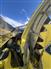 John Deere 2018 690 Forage Headers