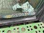 2007 John Deere 9760 STS
