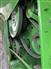 2020 John Deere S780