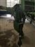 John Deere 2024 C450 Mower Conditioners / Windrowers