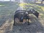 John Deere 2015 BA72C Attachments