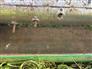 John Deere 2002 925D Headers - Other