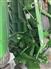 John Deere 2017 569 Balers - Round