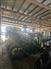 2023 John Deere 1775NT