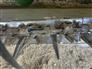 John Deere 2012 635F Headers - Other