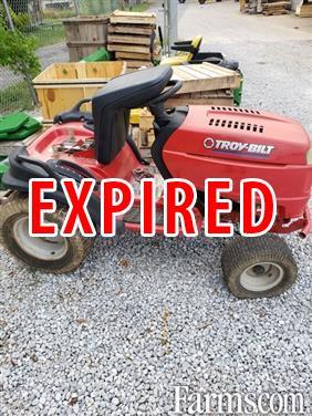 2006 troy bilt online pony