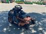 2024 Scag 52" V-RIDE II FTEFI