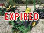 2023 John Deere Z545R