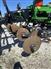 2024 John Deere 2730
