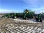 John Deere 2017 1870 Air Seeders / Air Carts