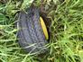 John Deere 2010 615P Headers - Other