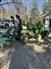 John Deere 2023 1023E Other Tractors