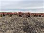 Bourgault 2017 9500-70 Plows / Rippers