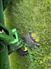 John Deere 2013 635D Headers - Other