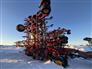 2025 Bourgault 3335 QDA