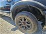 2002 Ford Excursion #17080