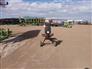 Arc Alloy 2026 T-810 Augers / Elevators / Conveyors
