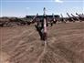 Meridian 2026 HD 10-46 FE Augers / Elevators / Conveyors