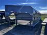 Norbert 2026 STG Horse Trailers