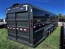 Norbert 2026 STG Horse Trailers