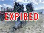 Wishek 842NT Row Crop Cultivator