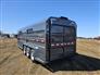 Norbert 2026 STG Horse Trailers