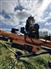 2017 Batco 1545 Auger / Elevator / Conveyor