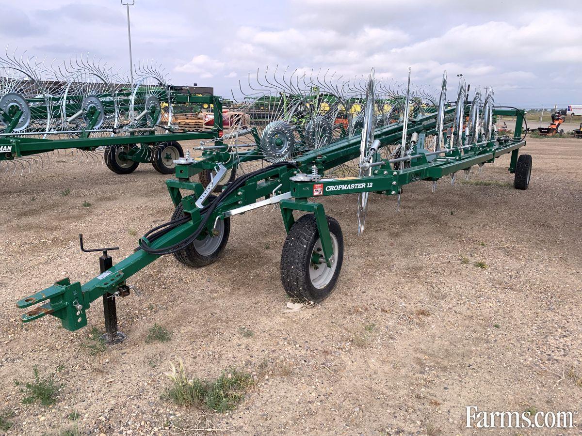 2019 Sovema 12 Wheel Rake / Tedder for Sale