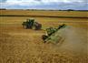 2026 Schulte SHX-784 Mulch Finisher