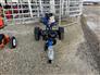 BRAND NEW Wallenstein WXT20V  Wood Splitter