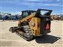 Caterpillar 2023 299D3 Skid Steers