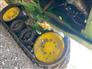 2024 John Deere 9RX 590