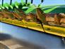 John Deere 2018 635FD Headers - Other