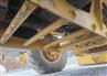 2018 Caterpillar 420F2