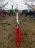 AGI WRX 8x51 Auger / Elevator / Conveyor