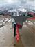 8-62 Auger / Elevator / Conveyor