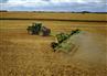 Schulte SHX-784 Mulch Finisher
